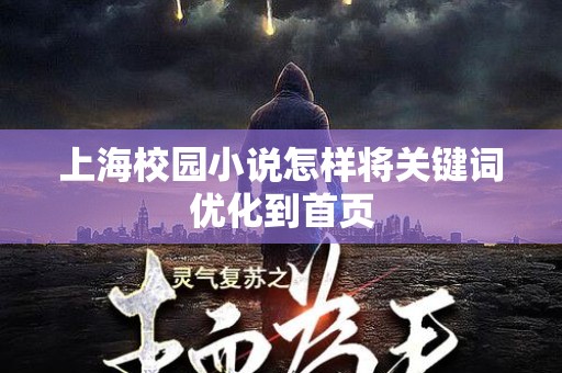 上海校园小说怎样将关键词优化到首页
