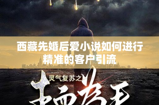 西藏先婚后爱小说如何进行精准的客户引流