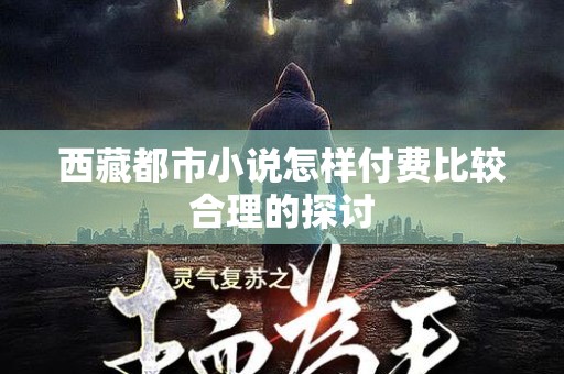 西藏都市小说怎样付费比较合理的探讨