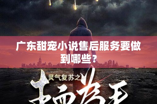 广东甜宠小说售后服务要做到哪些？