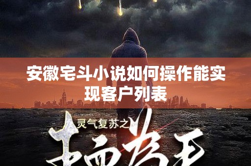 安徽宅斗小说如何操作能实现客户列表
