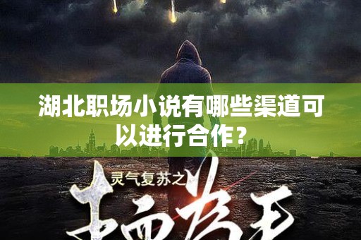 湖北职场小说有哪些渠道可以进行合作？