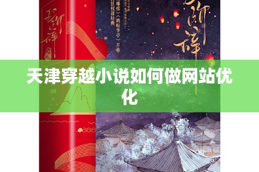 天津穿越小说如何做网站优化