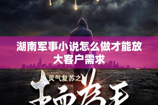 湖南军事小说怎么做才能放大客户需求