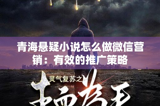 青海悬疑小说怎么做微信营销：有效的推广策略