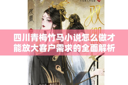 四川青梅竹马小说怎么做才能放大客户需求的全面解析