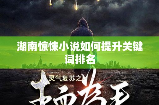 湖南惊悚小说如何提升关键词排名