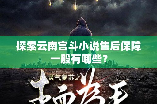 探索云南宫斗小说售后保障一般有哪些？
