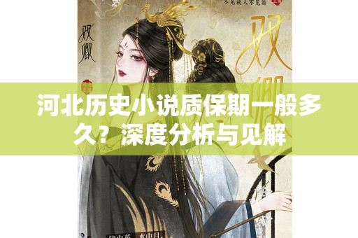 河北历史小说质保期一般多久？深度分析与见解