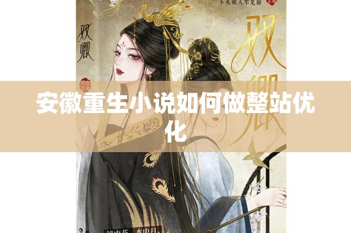 安徽重生小说如何做整站优化