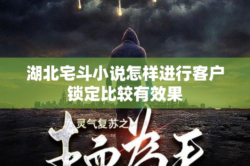 湖北宅斗小说怎样进行客户锁定比较有效果