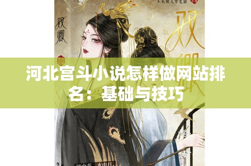 河北宫斗小说怎样做网站排名：基础与技巧