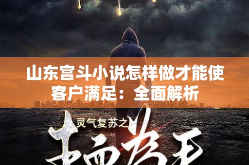 山东宫斗小说怎样做才能使客户满足：全面解析