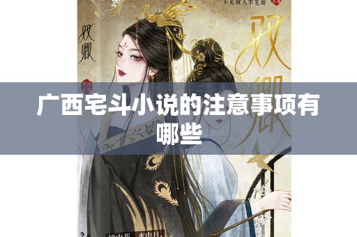 广西宅斗小说的注意事项有哪些