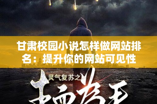 甘肃校园小说怎样做网站排名：提升你的网站可见性
