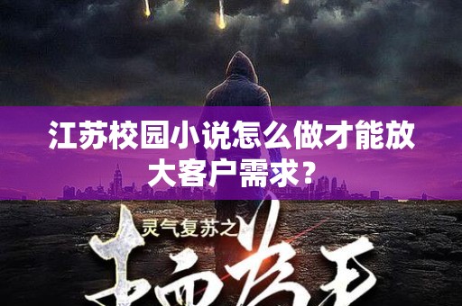 江苏校园小说怎么做才能放大客户需求？