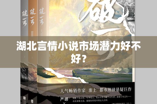 湖北言情小说市场潜力好不好？