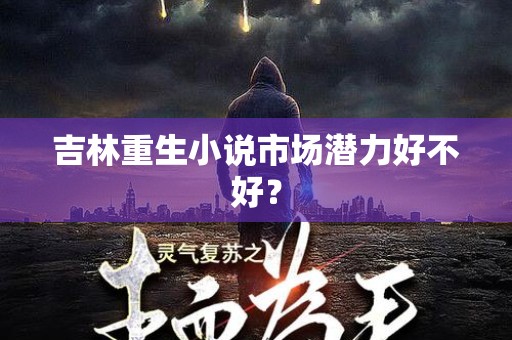 吉林重生小说市场潜力好不好？