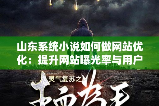 山东系统小说如何做网站优化：提升网站曝光率与用户体验的全方位指南