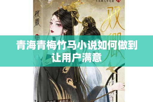 青海青梅竹马小说如何做到让用户满意