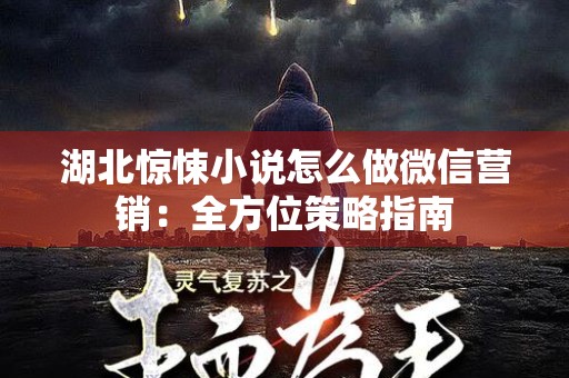 湖北惊悚小说怎么做微信营销：全方位策略指南