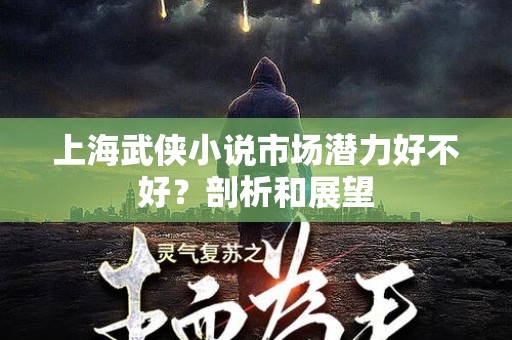 上海武侠小说市场潜力好不好？剖析和展望