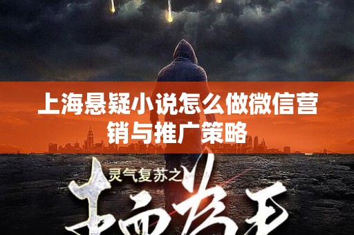 上海悬疑小说怎么做微信营销与推广策略