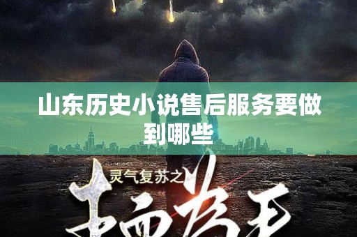 山东历史小说售后服务要做到哪些