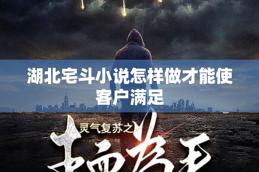 湖北宅斗小说怎样做才能使客户满足