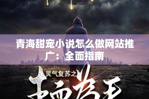 青海甜宠小说怎么做网站推广：全面指南