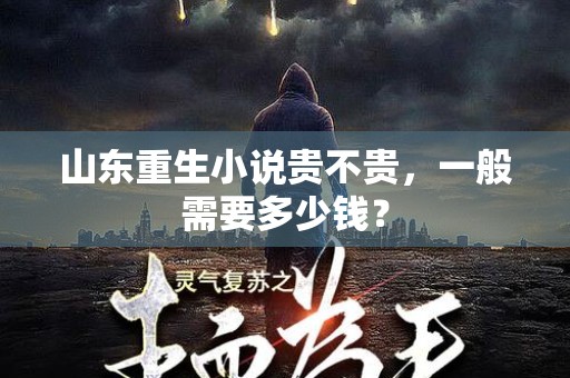 山东重生小说贵不贵，一般需要多少钱？