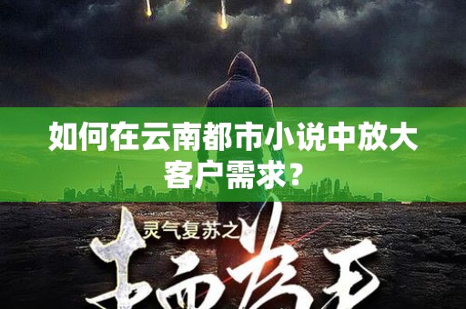 如何在云南都市小说中放大客户需求？