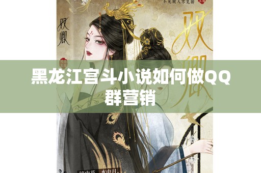 黑龙江宫斗小说如何做QQ群营销