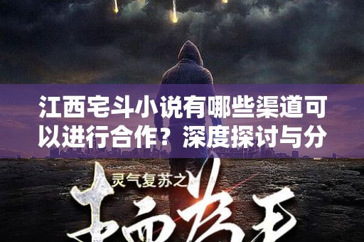 江西宅斗小说有哪些渠道可以进行合作？深度探讨与分析