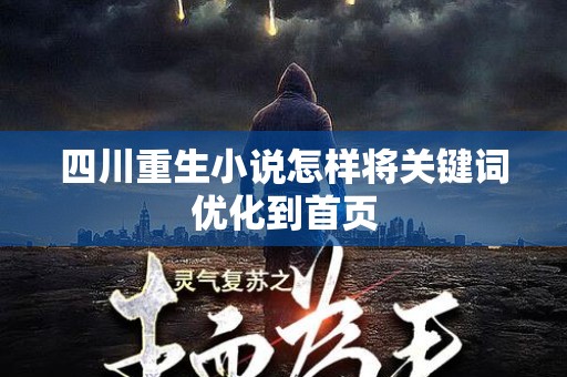 四川重生小说怎样将关键词优化到首页