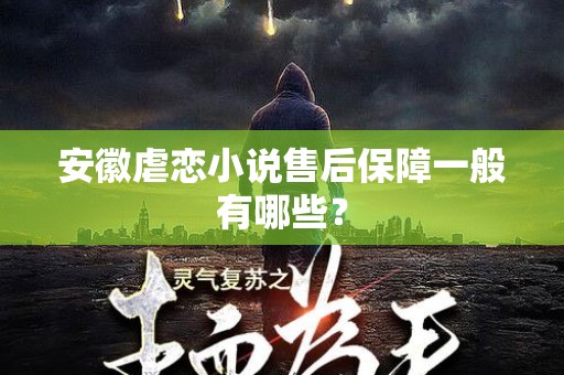 安徽虐恋小说售后保障一般有哪些？