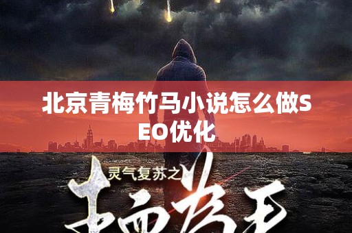 北京青梅竹马小说怎么做SEO优化