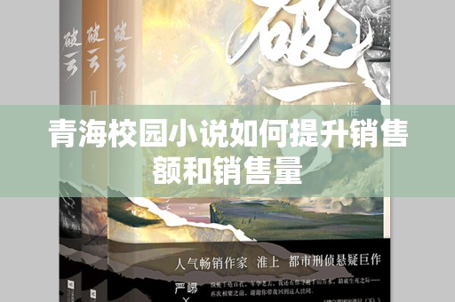 青海校园小说如何提升销售额和销售量