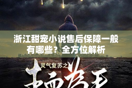 浙江甜宠小说售后保障一般有哪些？全方位解析
