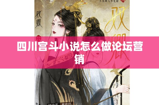 四川宫斗小说怎么做论坛营销