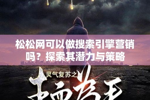 松松网可以做搜索引擎营销吗？探索其潜力与策略