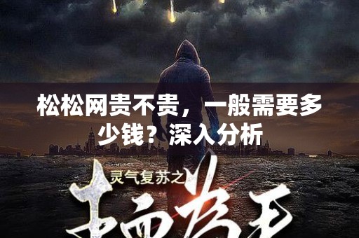 松松网贵不贵，一般需要多少钱？深入分析