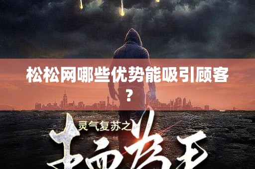 松松网哪些优势能吸引顾客？