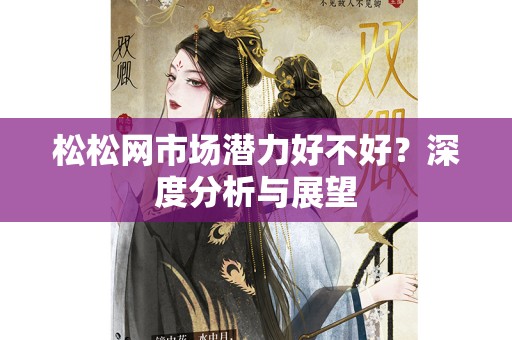 松松网市场潜力好不好？深度分析与展望