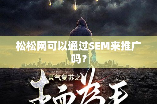 松松网可以通过SEM来推广吗？