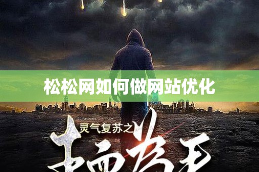 松松网如何做网站优化