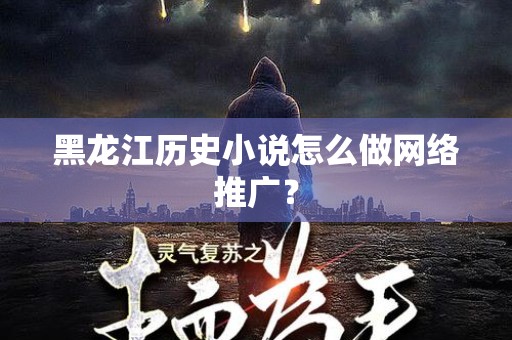 黑龙江历史小说怎么做网络推广？