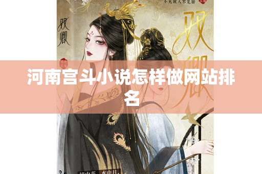 河南宫斗小说怎样做网站排名