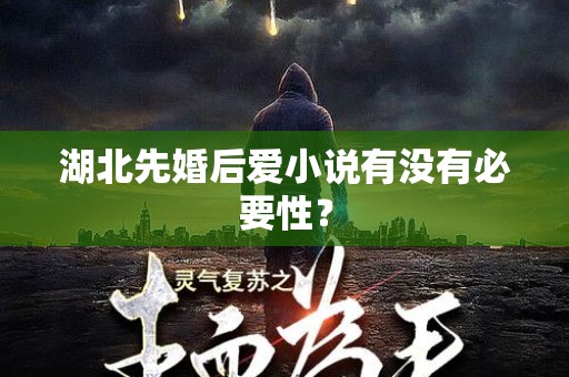 湖北先婚后爱小说有没有必要性？