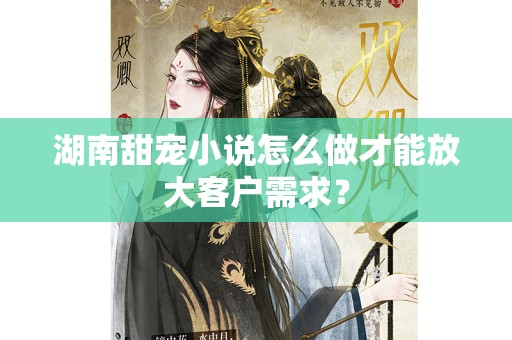 湖南甜宠小说怎么做才能放大客户需求？